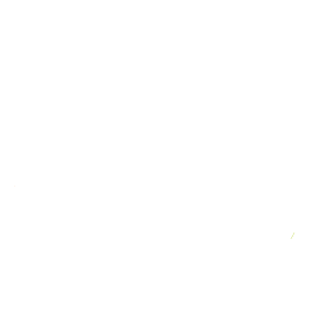 Arivale_Logo_TransWhite