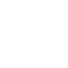 bfb_logo_transwhite